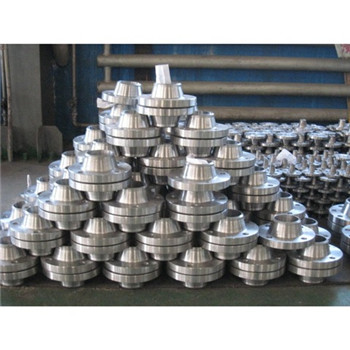 DN10-DN2000 ASTM / DIN Standard Ss A182 304L 316L plade smedet stålflange 